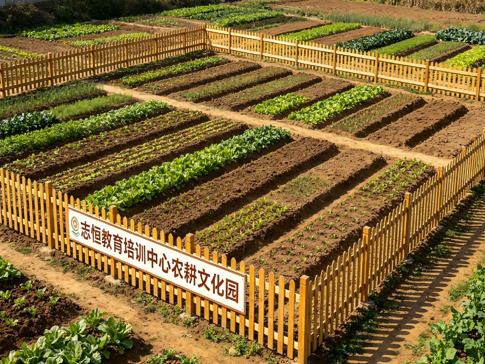 2026甄选中山有名的叛逆小孩管教学校哪个好?家长必读的择校实用指南